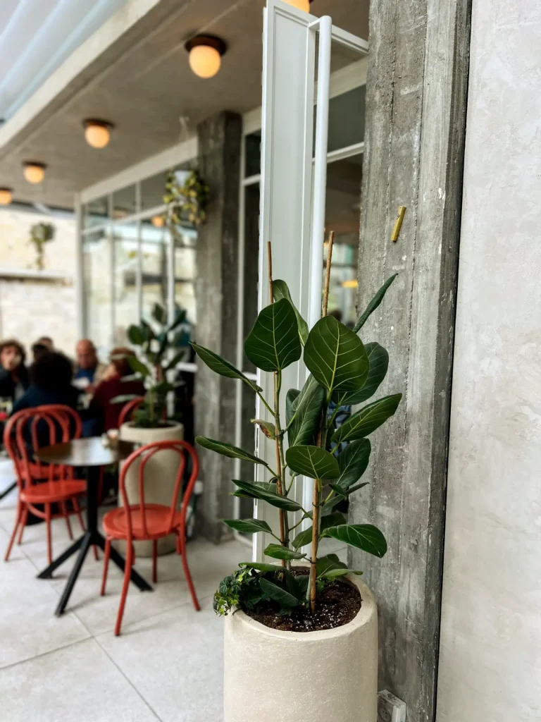 קפה נאדי טיח